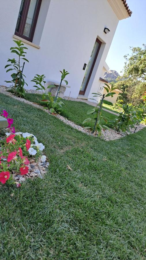 سانت أنطونيو دي غالورا B&B La Chintina المظهر الخارجي الصورة